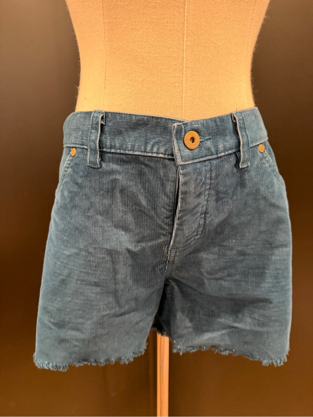 Carve Designs Oahu 4" Corduroy Shorts Size 8 Pacifica Blue Excellent Condition - Picture 3 of 11